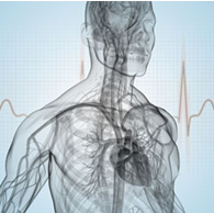 Biofeedback_Thüringen_Seligenthal_Steffi_Hess